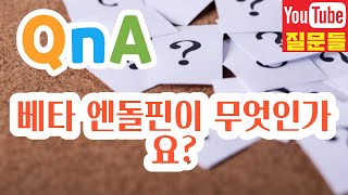 베타 엔돌핀이 무엇인가요?