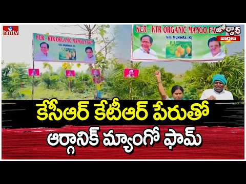 Jordar Varthalu : కేసీఆర్ కేటీఆర్ పేరుతో ఆర్గానిక్ మ్యాంగో ఫామ్ | Organic Farm On KTR& KCR Names - HMTVNEWS