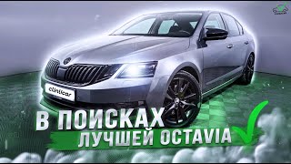 Как мы НЕ НАШЛИ Škoda Octavia с бюджетом 1.8🍋