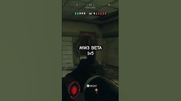 MW3 BETA 1v5