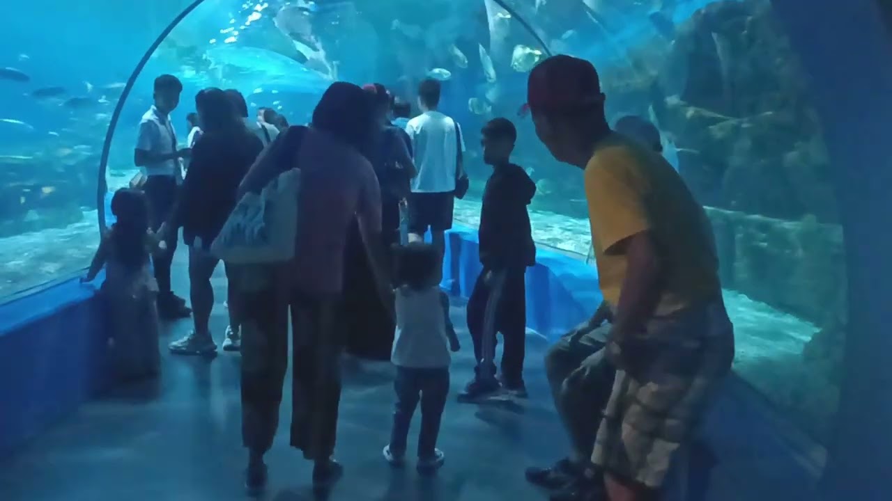 FamDay Manila Ocean Park and Philippine Biodome