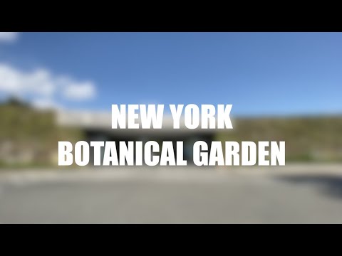 Vídeo: Jardí botànic de Nova York: la guia completa