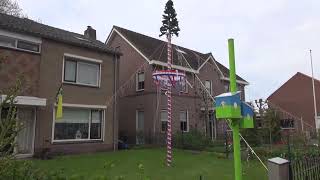 Straatversieringen Schelluinen 805