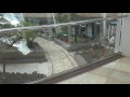 Oasis of the Seas secret public balcony!! Oasis of the Seas secret public balcony!!