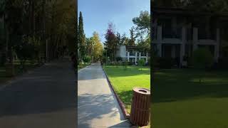 Tatil Olsa Da Gitsek Diyen Kaç Kişiyiz Sadece Kuş Sesi Bile Yetiyor Huzur Için