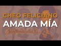 Capture de la vidéo Cheo Feliciano - Amada Mía (Audio Oficial)