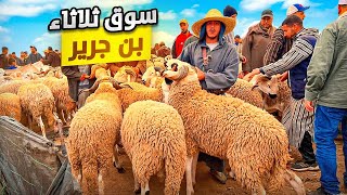 اليوم من سوق الثلاثاء بن جرير اقليم الرحامنةمع أثمنة حولي عيد الأضحى04/06/2024 سوق طايح اليوم