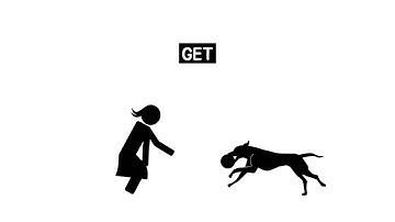 서버 측 JS - Express, POST 방식을 이용한 정보의 전달 1