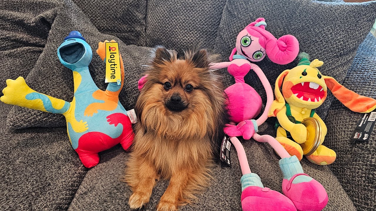Unboxing New Official Deluxe Poppy Playtime Plushies! Doey, Mommy, and Bunzo