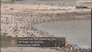 Bird Migrations - On The Wing - Explore Alliance