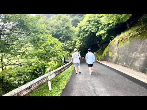 Family Walking In Mount Gifu Japan|Eli Kato Vlogs #relaxing #nature #mountain