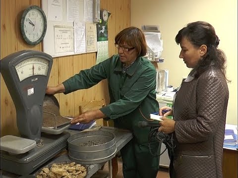 Рецепт один, ингредиенты разные