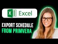 How To Export A Schedule From Primavera To Excel (Quick & Easy)