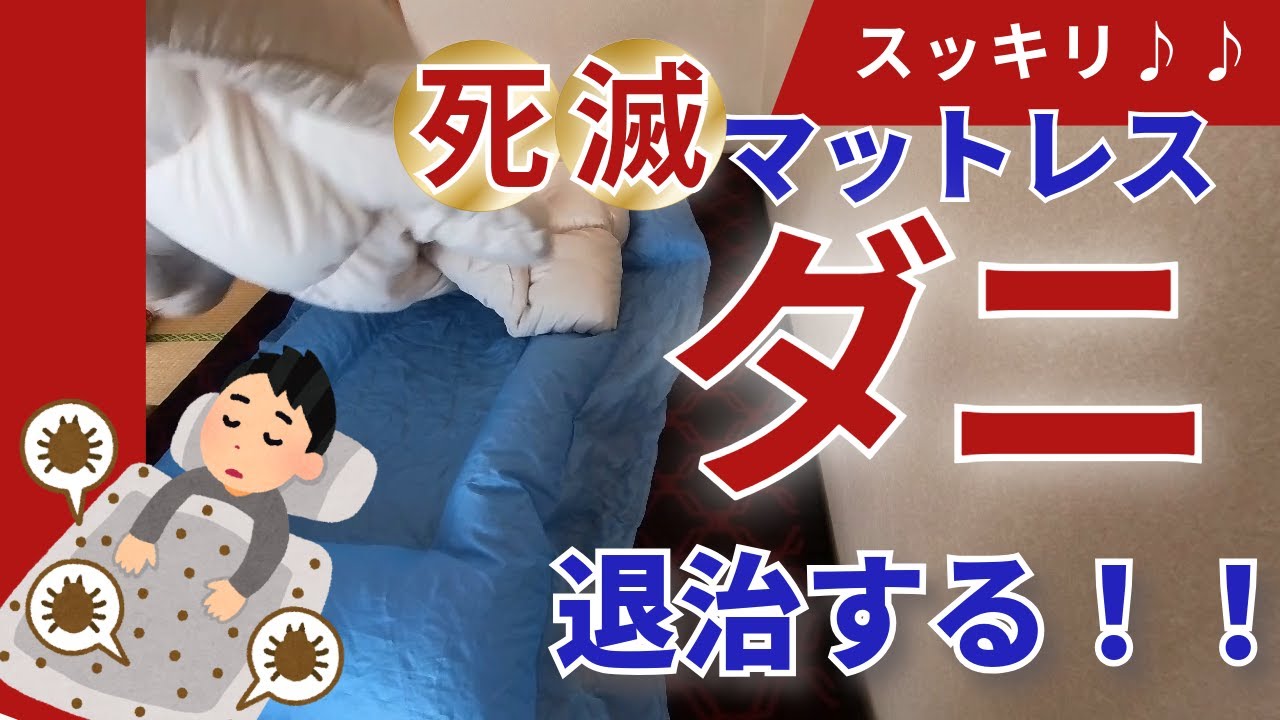 【ダニ駆除・対策】マットレス・布団のダニ退治方法!効果的なやり方とポイント解説 ダニアレルギー ダニ刺されの人に捧ぐ 布団乾燥機 ダニ殺虫剤の ...