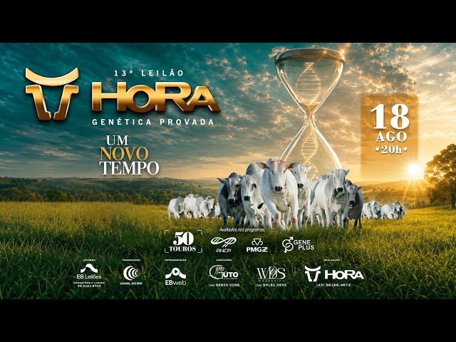 LOTE 17 HORA 8596