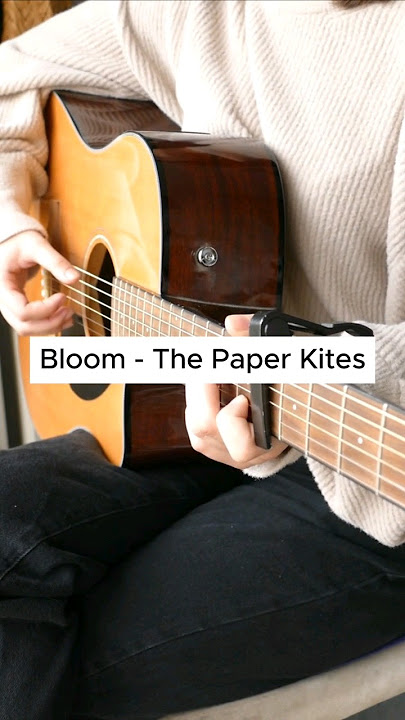 Bloom - The Paper Kites (cover). Capo 6th fret #guitar #acoustic #bloom #thepaperkites #chords #tabs