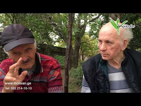 მოხუცთა თავშესაფარი, მოხუცების აზრი