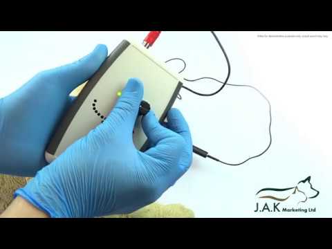 Amplifier Stethoscope