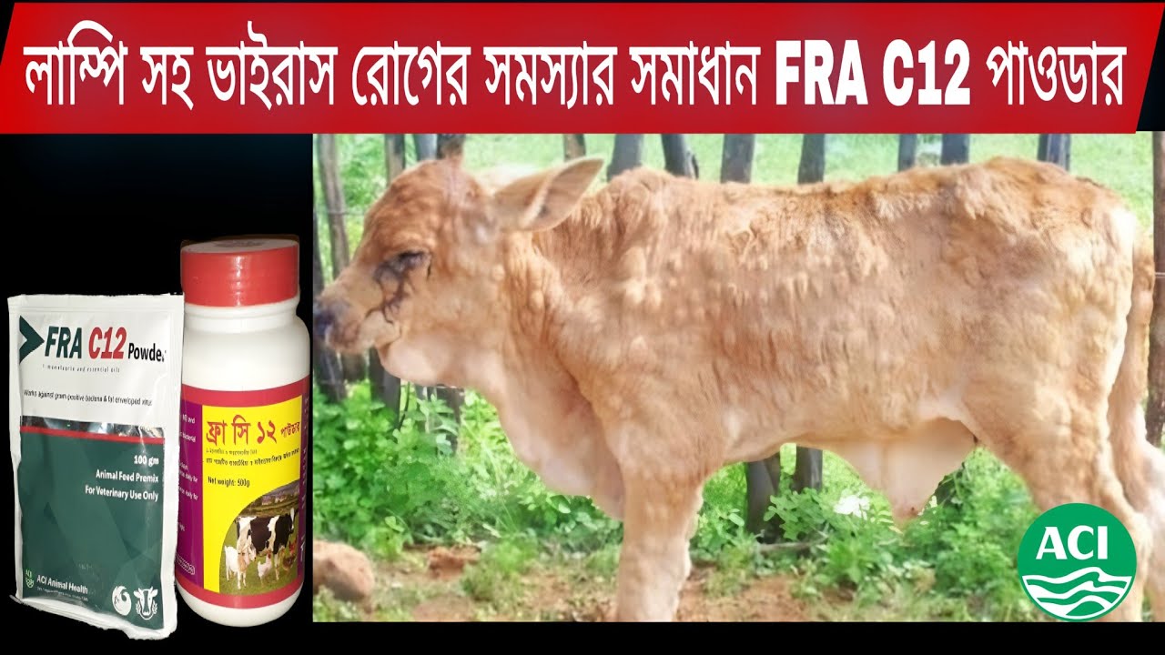 fra-c12-aci-animal