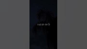 قرآن كريم 🤍 #اكسبلور #استغفرالله #راحة_نفسية #لايك #راحه_نفسيه #حالات_واتس #تيك_توك