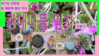 광대나물차만들기/풍예방,폐기능강화,뼈건강,고혈압 등에 도움 줍니다