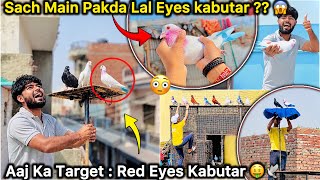 First Time Red Eye kabutar Pakda 😱 || Bahut Mehnga Kabutar Pakad Liya 🔥🤑