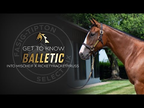 Get to Know: Balletic