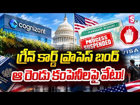 Green Card Process Halted.. Action Taken Against These Two Companies! | Green card process stoppe...