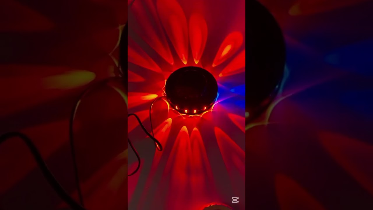 Seven Colors, One Magic 🌈