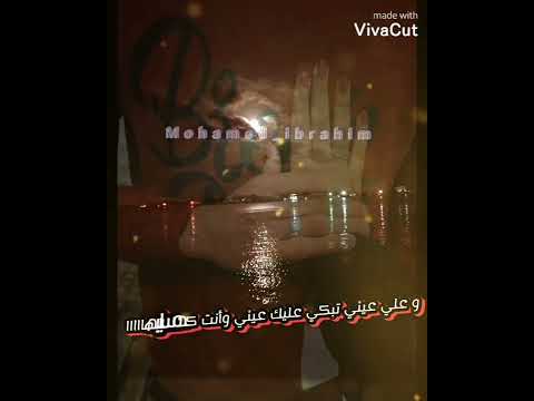 حالات واتس تامر عاشور الله أعلم فضل شاكر 