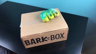 June’s super chewer (bark box) unboxing