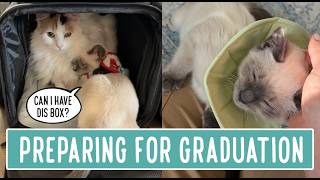 Preparing for Graduation