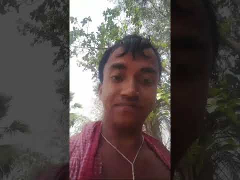 Animesh Create Video