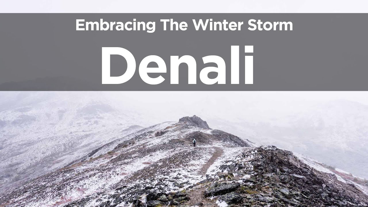 Alaska Bound 14: Embracing the Winter Storm in Denali