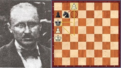 Selected Brilliant Chess Puzzles! No. 11