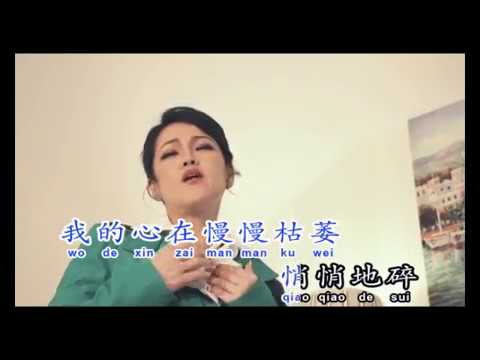 拥抱你离去  - 忆薇 Vol 7