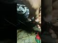 Refazendo rosca do moto Fiat punto motor etorq parte 4