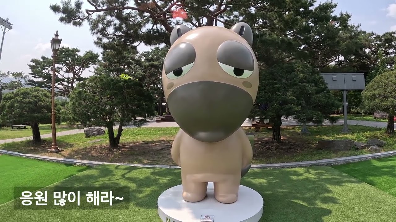 주행심사를 13번 떨어진 경주마의 마지막 주행심사, #사하라히트 서울 경마장에서 가장 나이 많은 미검마 #경주마 #과천경마장 #주행심사 #경마 #마주