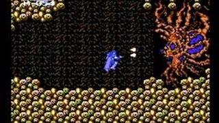 FC　ホーリーダイヴァー  ノーコンティニュークリア / NES  Holy Diver