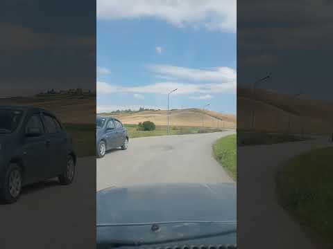 محمد بن علي الشنقيطي تفسير سورة النور