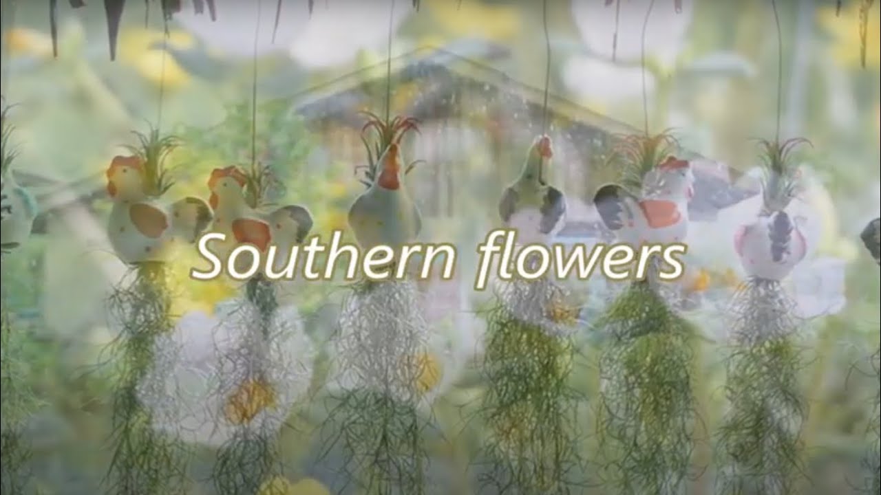 Southern flowers  (Instrumental) 　南の花