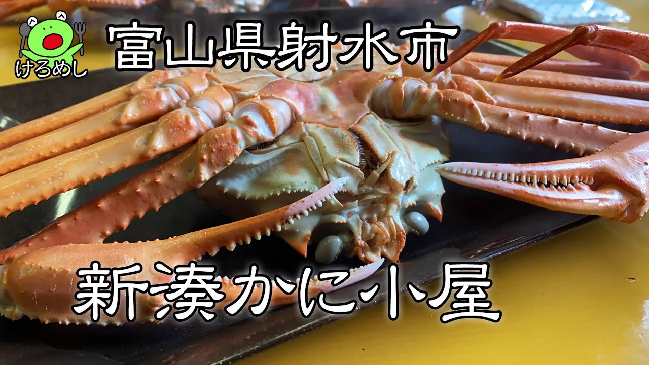 【射水市】獲れたて茹でたて新鮮なカニが2,000円「新湊かに小屋」富山県射水市新湊漁港で高志の紅ガニ（ベニズワイガニ）を食べる