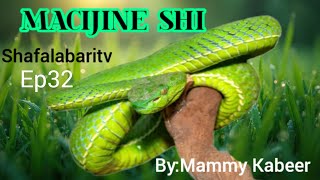 Macijine shi Ep32