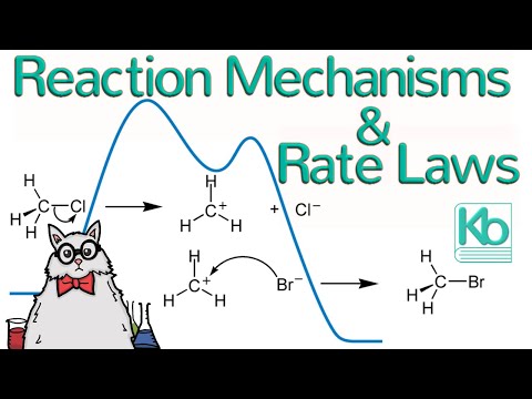 Reaction Mechanisms, Rate Laws, Reaction Profiles, and SN1 vs. SN2 Reactions