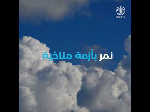 الزراعة الخضراء والمقاومة للمناخ هي جزء من الحل المناخي