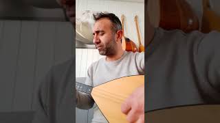 Meseceoğlu,Başimda Bi̇r Sevda Döner, Musa Eroğlu,Güler Duman