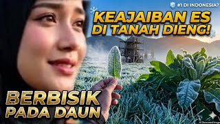 Download lagu Berbisik pada Daun: embun membeku | Carica Entertainment Musik 