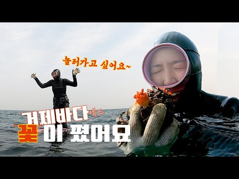 Season Spring, flowers bloom even in the sea.