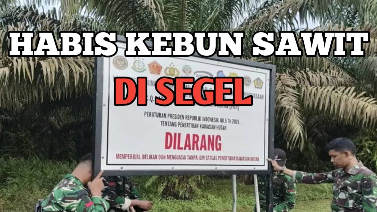 INI CARA AGAR KEBUN SAWIT KITA TIDAK SEGEL SATGAS PENERTIBAN KAWASAN HUTAN