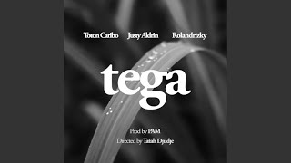 Download Lagu TEGA (REMAKE 2021)